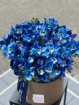 51 синяя орхидея в коробке