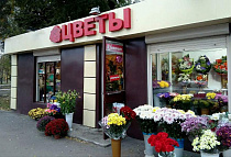 Каталея, г. Воронеж, ул. Дзержинского, дом 4