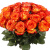 Букет из 25 оранжевых роз Букет из 25 оранжевых роз