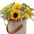 Букет из подсолнухов и роз в коробке Букет из подсолнухов и роз в коробке