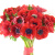 Букет из 29 красных анемонов Букет из 29 красных анемонов