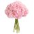 Букет из 9 розовых гортензий Букет из 9 розовых гортензий