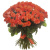 Букет из 101 коралловой розы Букет из 101 коралловой розы