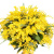Букет из 21 ветки мимозы Букет из 21 ветки мимозы