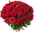Букет из 51 красной розы Букет из 51 красной розы