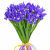 Букет из 19 ирисов Букет из 19 ирисов