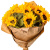 Букет из 9 подсолнухов в крафте Букет из 9 подсолнухов в крафте