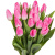 Букет из 19 розовых тюльпанов Букет из 19 розовых тюльпанов