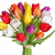 Букет MIX из 19 тюльпанов разных цветов