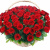 Корзина траурная из 80 роз
