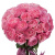 Букет из 31 пионовидной розы Букет из 31 пионовидной розы