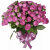 Букет из 17 кустовых роз Мисти Бабблс