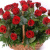 Корзина из 35 красных роз с зеленью Корзина из 35 красных роз с зеленью