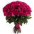Букет из 55 малиновых роз Букет из 55 малиновых роз