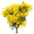 Букет из 9 веток мимозы Букет из 9 веток мимозы