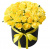 Букет из 51 желтой розы в коробке